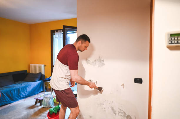 Best Residential Mold Remediation in June Park, FL